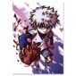 litio_2023_print_web_killua