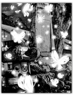 yitan-001-postal-rotated-1